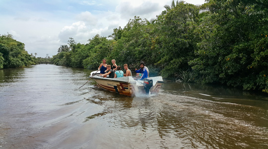 A small boat on a calm river channel with forest along both banks