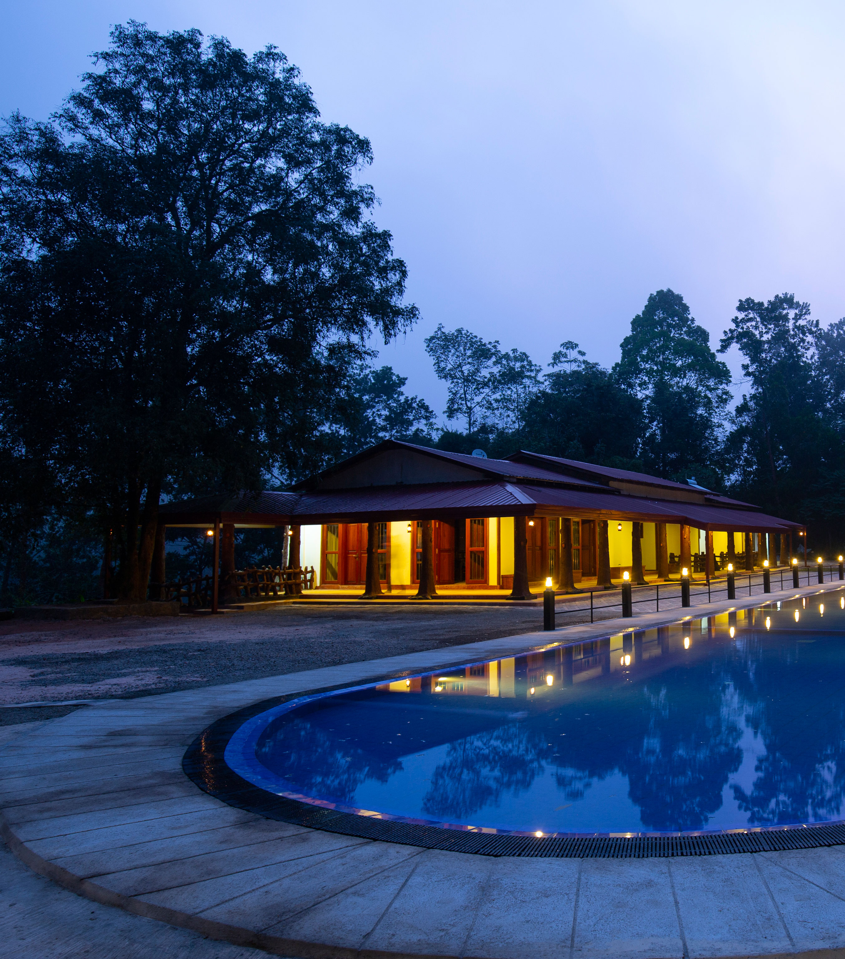The pool at dusk, lit against the forest